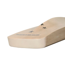 Load image into Gallery viewer, Warrior Original